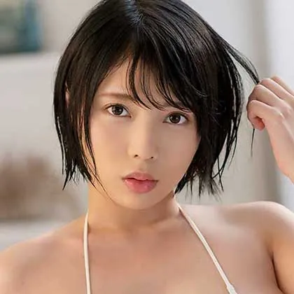 手机免费在线观看候鸟迁徙季海报